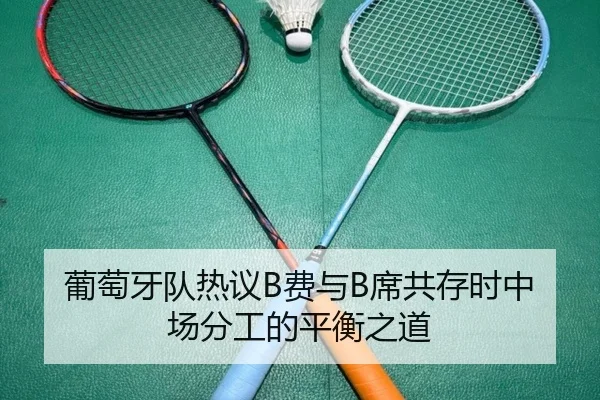葡萄牙队热议B费与B席共存时中场分工的平衡之道